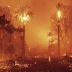 Zdjęcie przedstawia intensywne płomienie trawiące palmy i otaczającą roślinność w Los Angeles. Wybuch pożaru, który pustoszy dzielnice miasta, symbolizuje ogromne zniszczenia, jakie dotknęły także branżę mody, znaną z obecności butików i atelier w zagrożonych obszarach. Ogień i unoszące się iskry tworzą dramatyczną scenerię odzwierciedlającą skalę katastrofy.