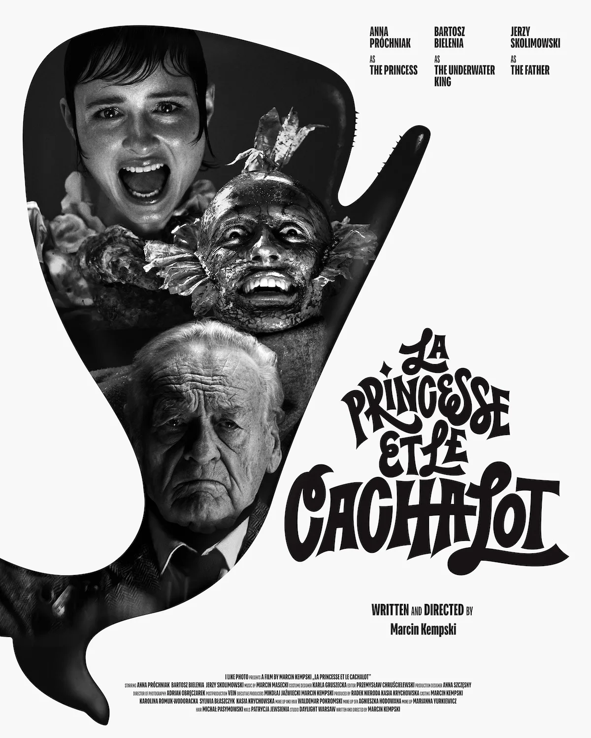 „La Princesse et le Cachalot” plakat do filmu. Marcin Kempski, fotograf mody, debiutuje w roli reżysera.
